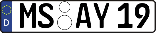MS-AY19