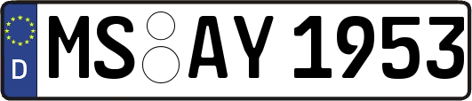 MS-AY1953