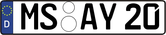 MS-AY20