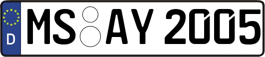 MS-AY2005