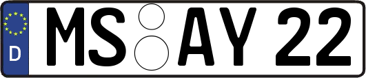 MS-AY22