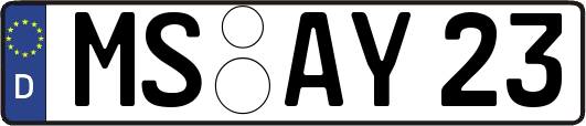MS-AY23