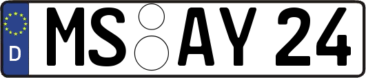 MS-AY24