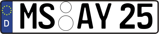 MS-AY25