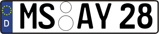 MS-AY28