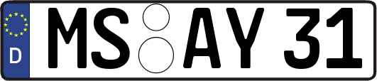 MS-AY31