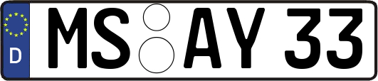 MS-AY33