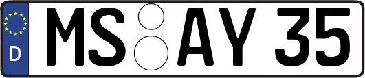 MS-AY35