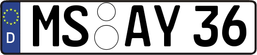 MS-AY36