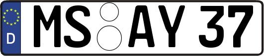 MS-AY37
