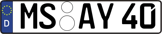MS-AY40