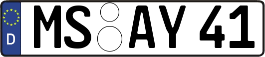 MS-AY41