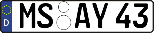 MS-AY43