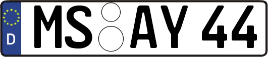 MS-AY44