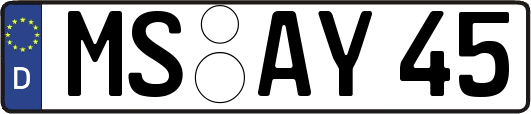 MS-AY45