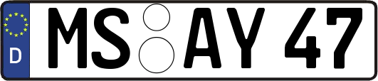 MS-AY47