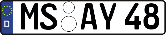 MS-AY48
