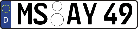 MS-AY49