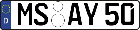 MS-AY50
