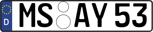 MS-AY53