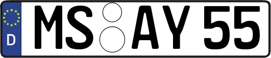 MS-AY55