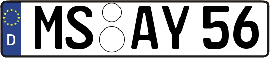 MS-AY56