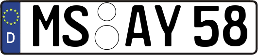 MS-AY58