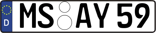 MS-AY59