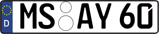 MS-AY60