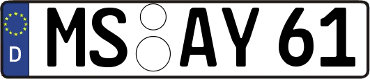 MS-AY61