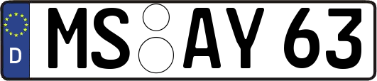 MS-AY63
