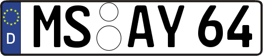 MS-AY64