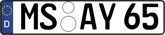 MS-AY65