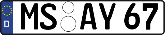 MS-AY67