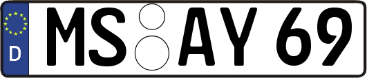 MS-AY69