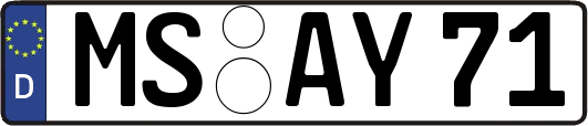 MS-AY71