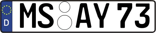 MS-AY73