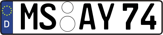 MS-AY74
