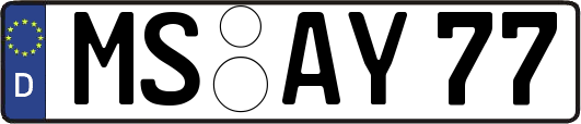 MS-AY77