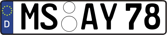 MS-AY78
