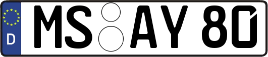 MS-AY80