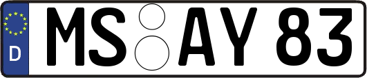 MS-AY83