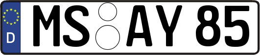 MS-AY85