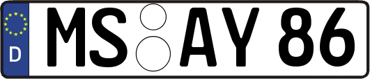 MS-AY86