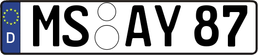 MS-AY87