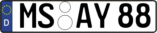 MS-AY88