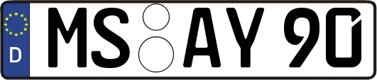 MS-AY90