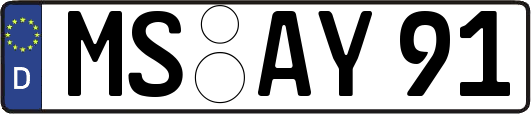 MS-AY91