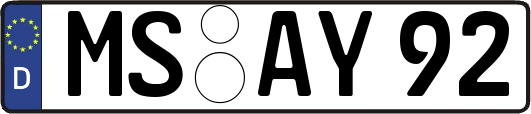 MS-AY92