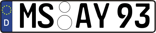 MS-AY93